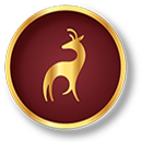 navyaa